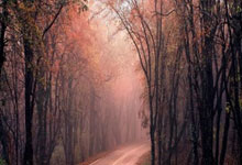 从手机上怎么买股票:省力杠杆和费力杠杆例子-宇树上市定档四季度 人形机器人赛道迎资本“冲刺期”