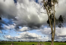 新手如何做股票:股票配资论坛网-中期分红稳定性不断提升 超200家沪市公司连续两年派发“年中红包”