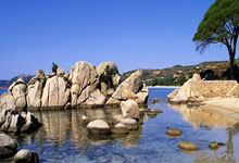 股票记账app:股票散户交流群-小米预计全年整体收入增超三成 汽车业务有望下半年单月或单季盈利